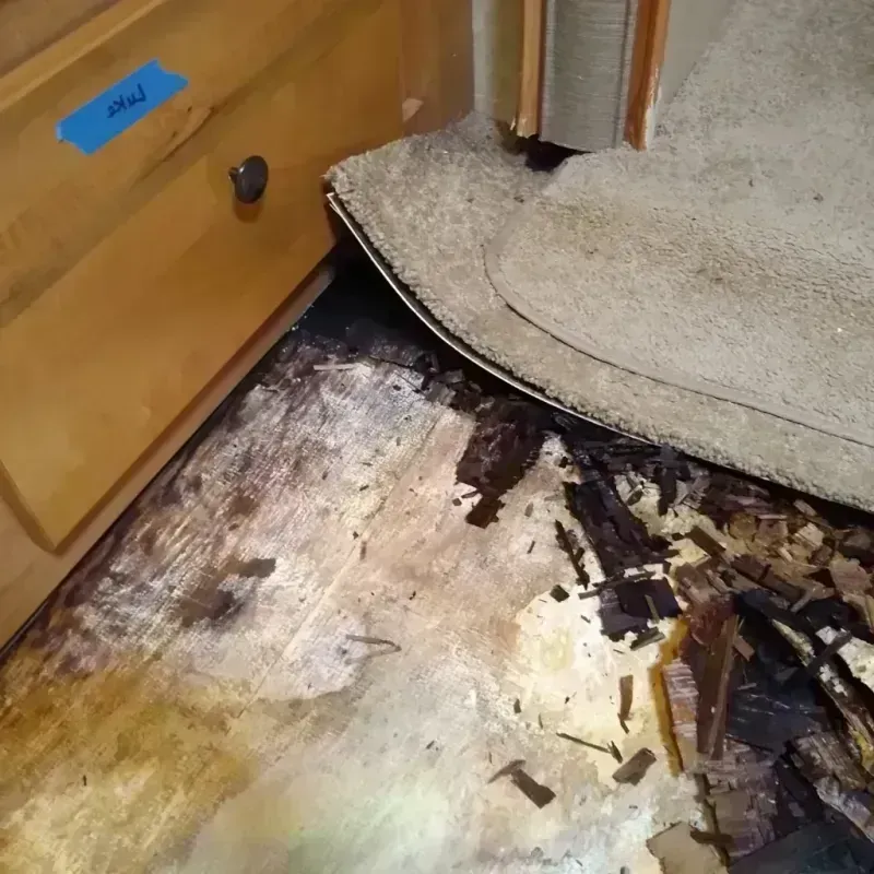 Wood Floor Water Damage in Wasco County, OR